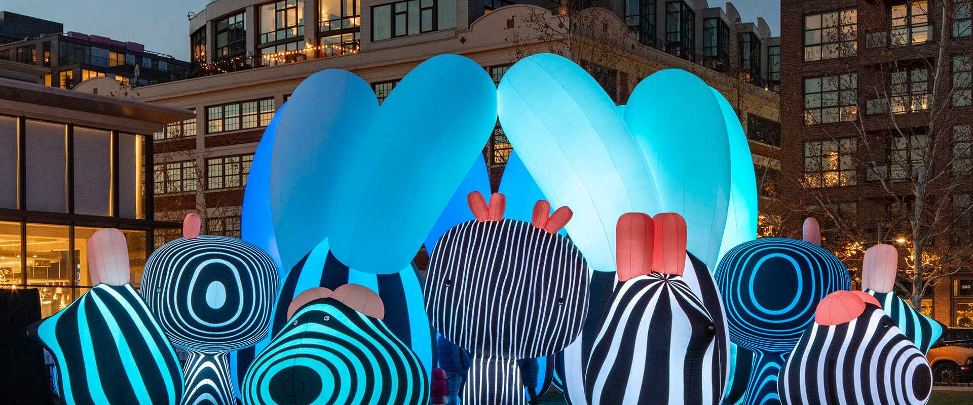 Exploring the Art Exhibitions and Displays at Adelaide SA Festivals